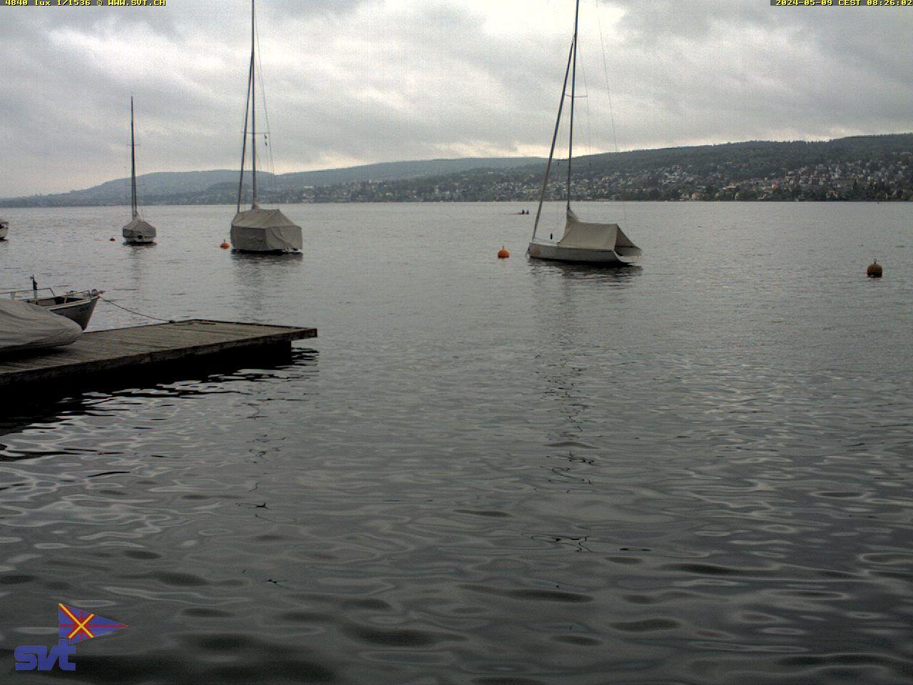 Thalwil › Ost: Zürichsee